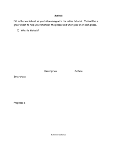 S1-1-05 - Meiosis - Activities