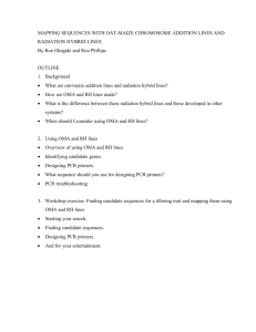 What are oat-maize chromosome addition lines and radiation hybrid