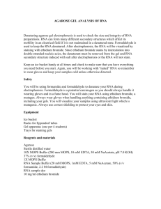 Denaturing Agarose Gel