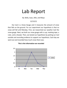 Snow Gauge Lab Rebort