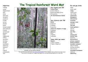 The Tropical Rainforest Word Mat