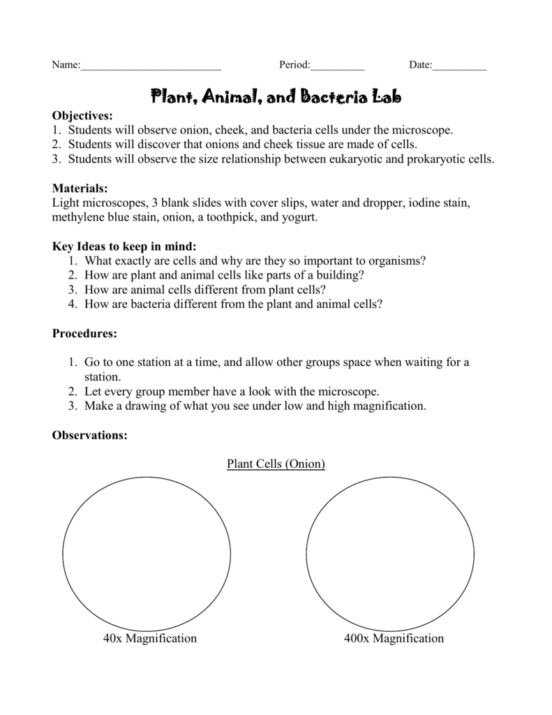 Short Plant Animal And Bacteria Lab Wahs