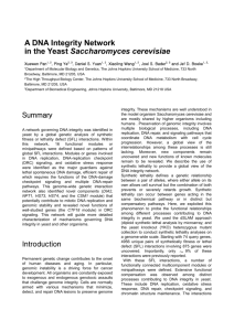 A DNA Integrity Network in the Yeast Saccharomyces cerevisiae