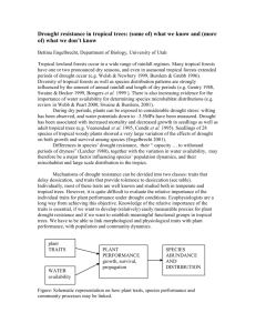 Drought resistance in tropical trees: (some of) what we know and