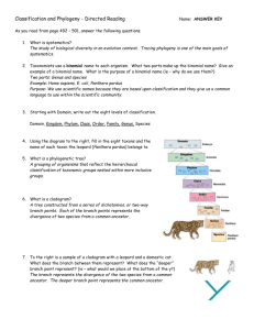 Classification and Phylogeny