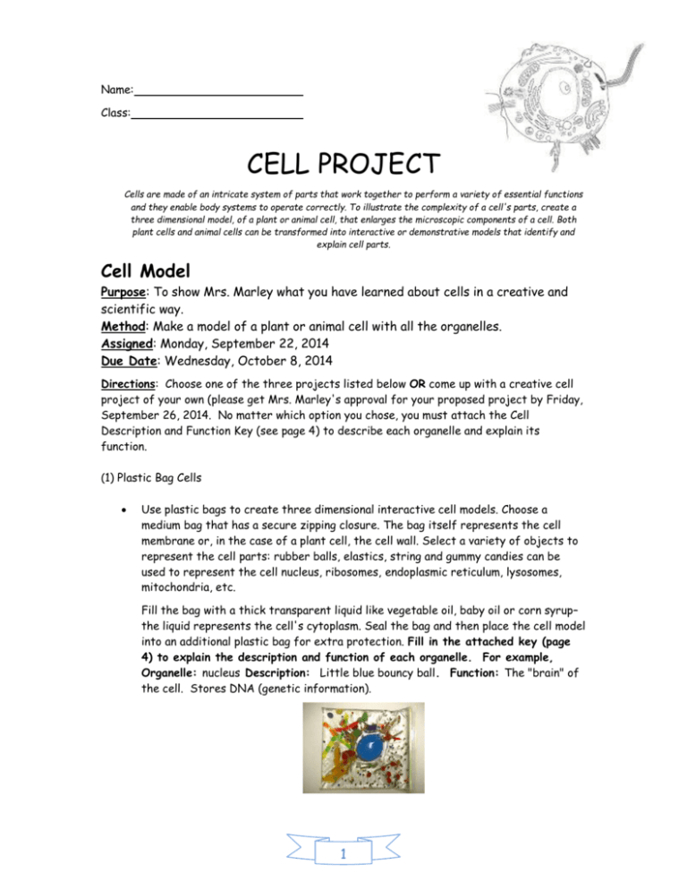 EDIBLE ANIMAL CELL