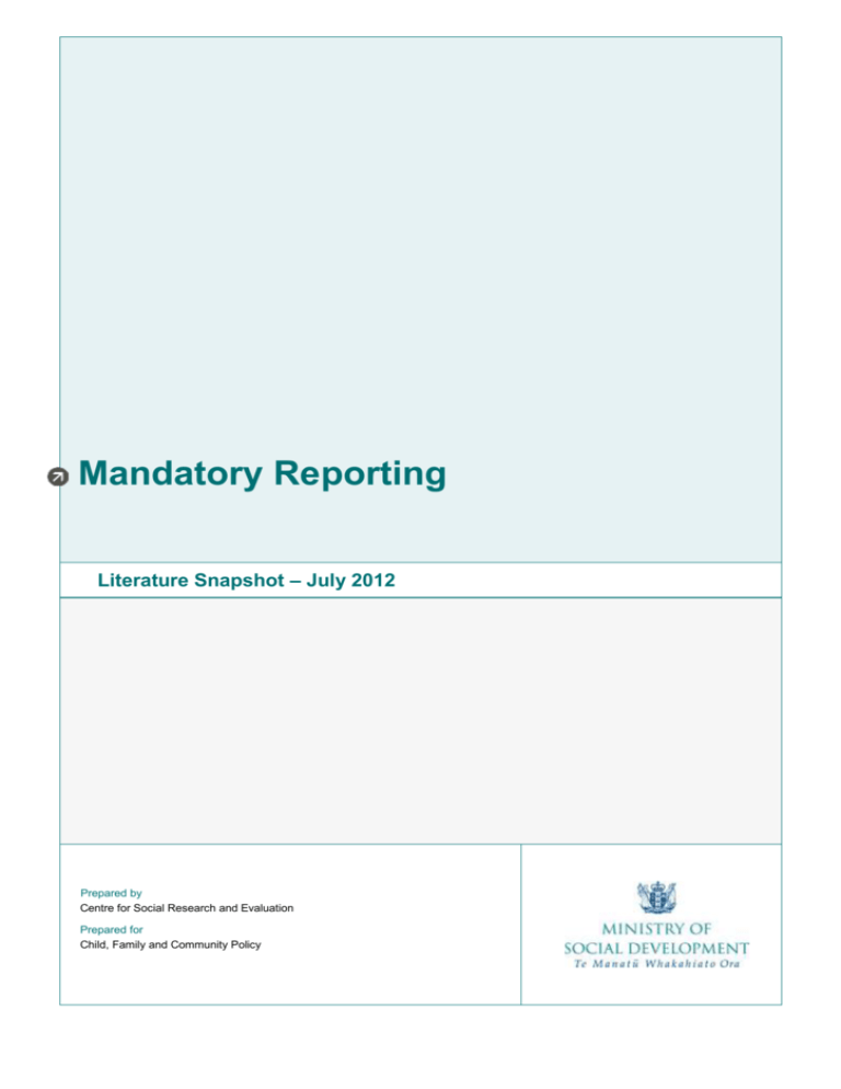 The Mandatory Reporting Literature Snapshot