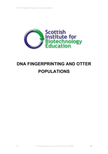 DNA Fingerprinting and otters
