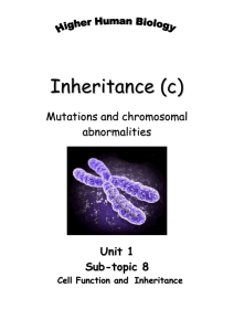 Inheritance 3