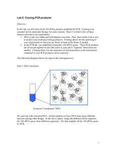 Lab 5: Cloning PCR products - Cal State LA