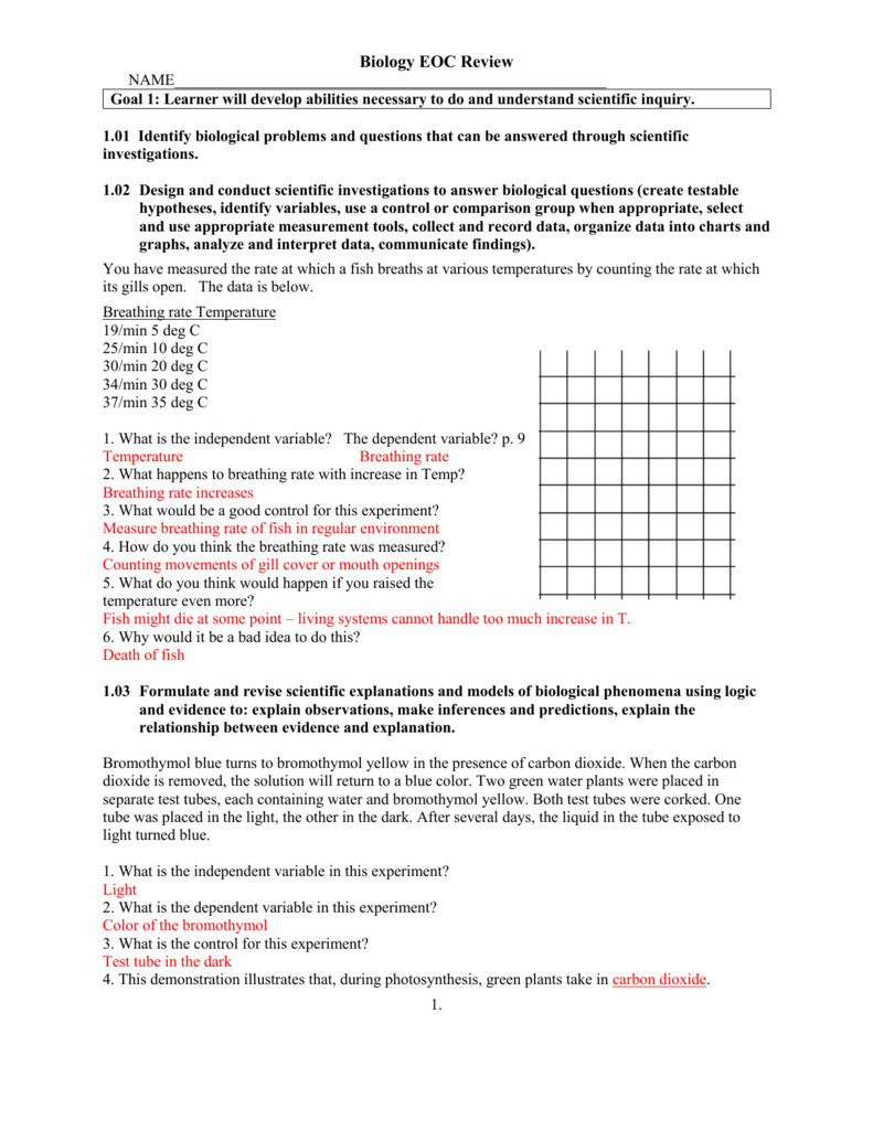 Eoc Review Answer Key Friday