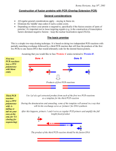 Construction of fusion proteins with PCR