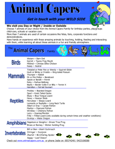 Animal Capers Brochure