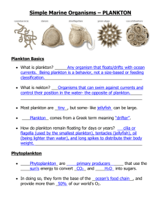 Plankton Basics