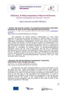 ESTeam PhD proposals