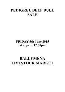 PEDIGREE BEEF BULL SALE - Ballymena Livestock Market