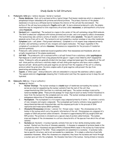 Study Guide to Cell Structure