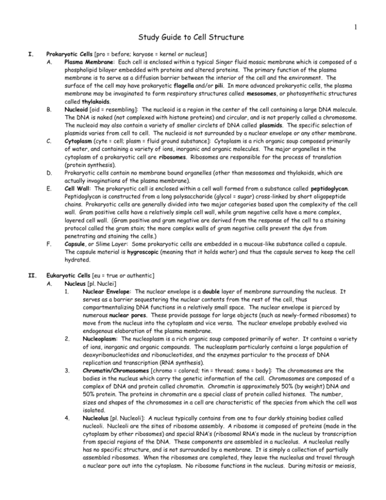 study-guide-to-cell-structure