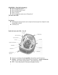 CHAPTER 1 - The Cell Cycle (part 1)
