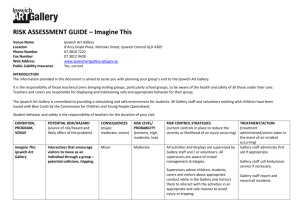 Risk Assessment Guide IAG