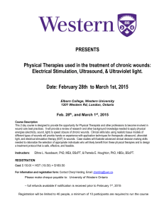 ESTIM Course Flyer Feb 2015 (2)