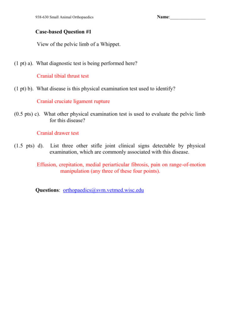 case study based questions class 5