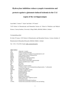 Inhibition of proyly hydroxylase reduces synaptic transmission and