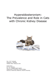 Hyperaldosteronism in Cats: - Utrecht University Repository