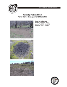Feral Horse Management Plan 2007 - Territory and Municipal Services