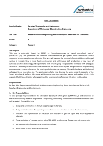 Role Description Faculty/Service: Faculty of Engineering and