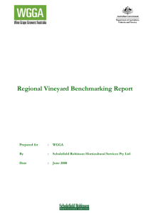 Regional vineyard benchmarking report