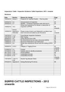 Cattle Inspection Guidance –