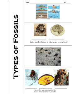 Types of Fossils/Getting into Fossil Record Pkt.