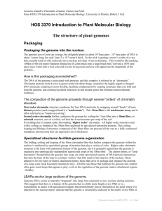 HOS 3370 Introduction to Plant Molecular Biology
