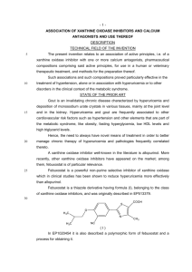 Association of xanthine oxidase inhibitors and calcium antagonists