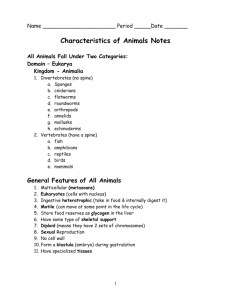 Animals Notes - Biology Junction