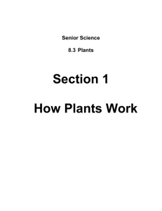 Plant functions