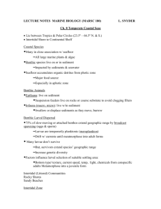 Ch. 8 Temperate Coastal Seas Lecture Notes Page