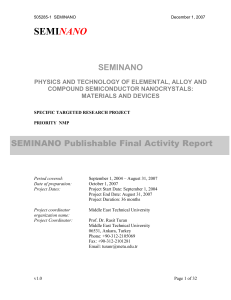 Final Report - SEMINANO (Physics and