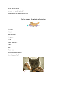 THE PET HEALTH LIBRARY - Bardstown Veterinary Clinic