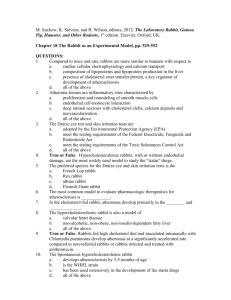 Rabbit as Experimental Model - Laboratory Animal Boards Study