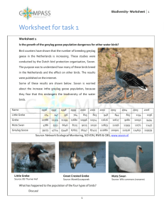 Worksheets - compass project