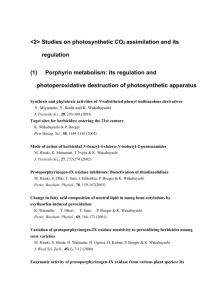Studies on photosynthesis and its regulation