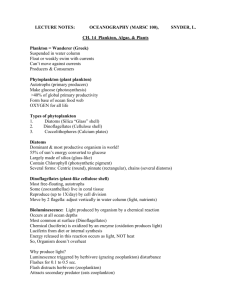 Ch. 14: Plankton, Algae, & Plants Lecture Notes Page