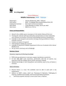 Terms of Reference Wildlife Veterinarian, WWF