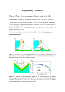 Supplementary Information Highly efficient light management for