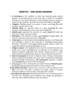 genetics-one word answers