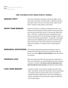 THE INFORMATION PROCESSING MODEL