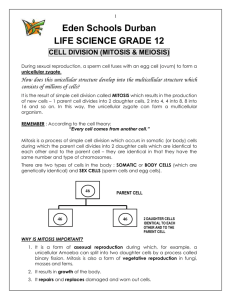 meiosis 2011 - Life Science Classroom