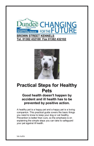 Practical Steps for Healthy Pets